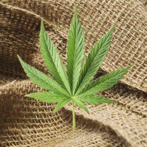 Meet your Posher, hemp_hunter